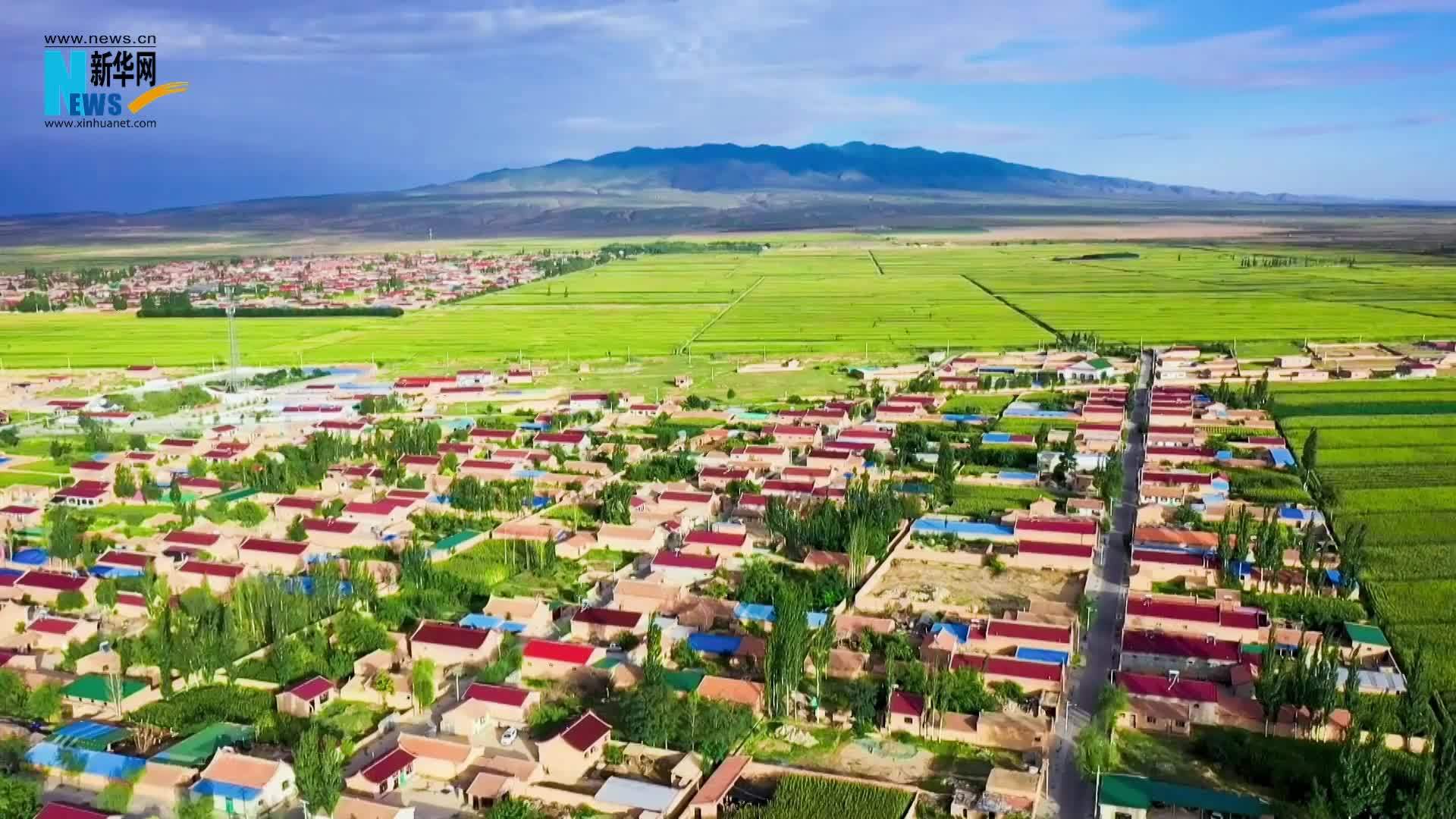 我身边的代表委员|全国人大代表马慧娟：指尖上的民意，黄土地上的回响