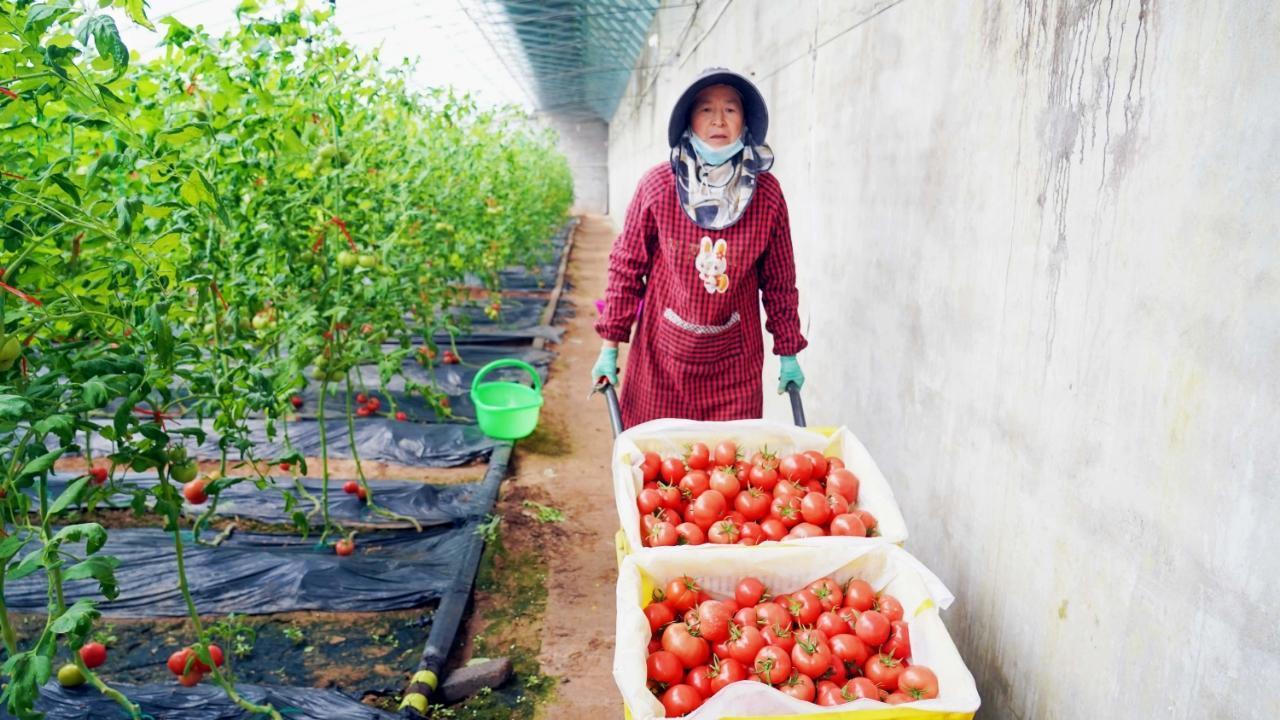 乡村振兴有看头 “春日经济”甜到心里头
