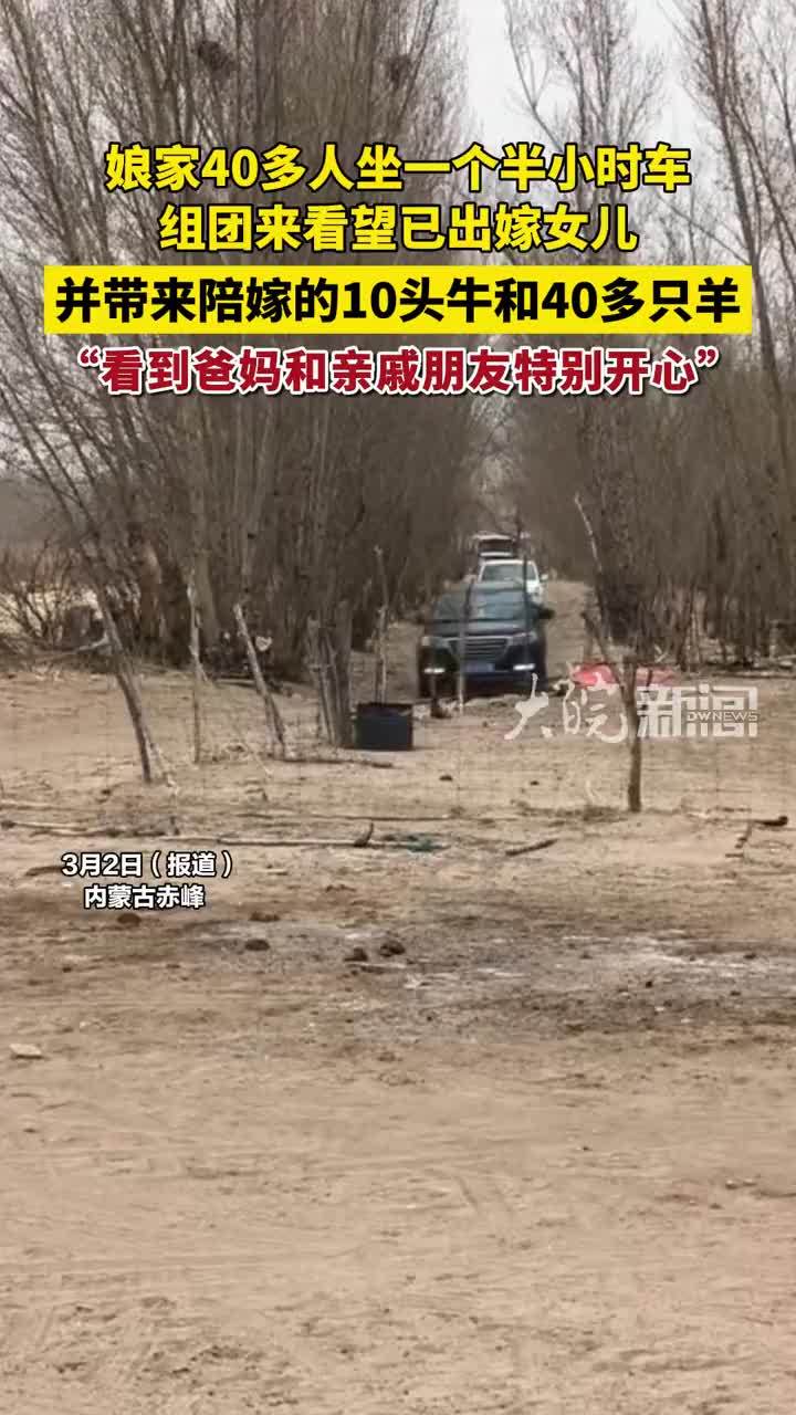 娘家40多人坐一个半小时车，组团来看望已出嫁女儿， 并带来陪嫁的10头牛和40多只羊，装了满满一卡车，“看到爸妈和亲戚朋友特别开心”