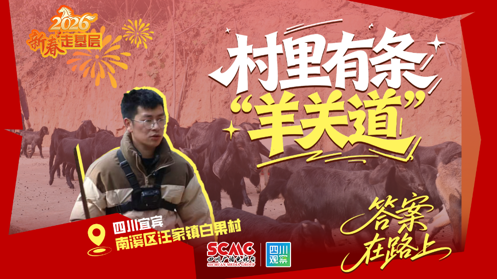 新春走基层㉜回乡三年，羊倌变成了“领头羊”