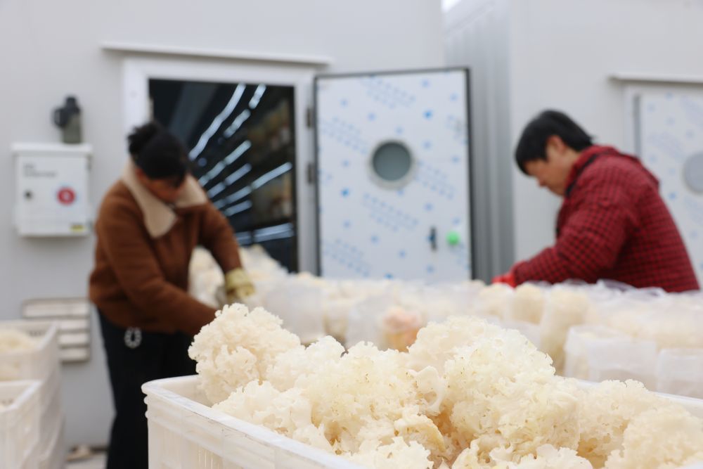 ��2��27�գ��ӱ�ʡ�º���������ֲרҵ�����繤���ڷּ��װ�������