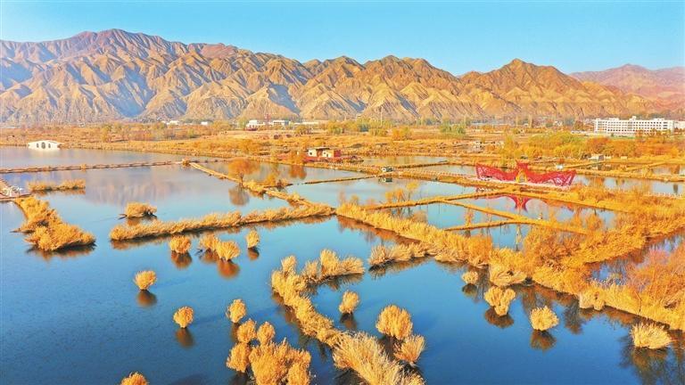 湿地风光　田蹊