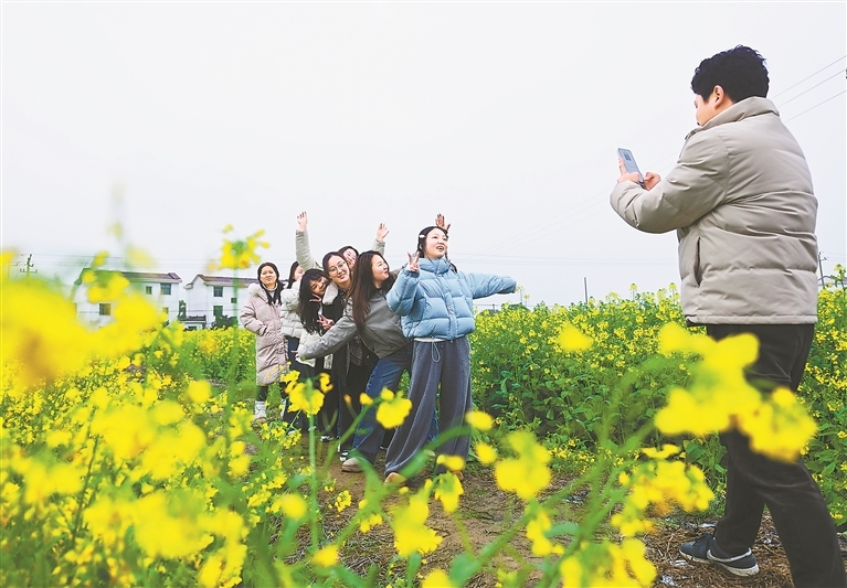 乐安县：游客踏青赏花 尽享春日美好（图）
