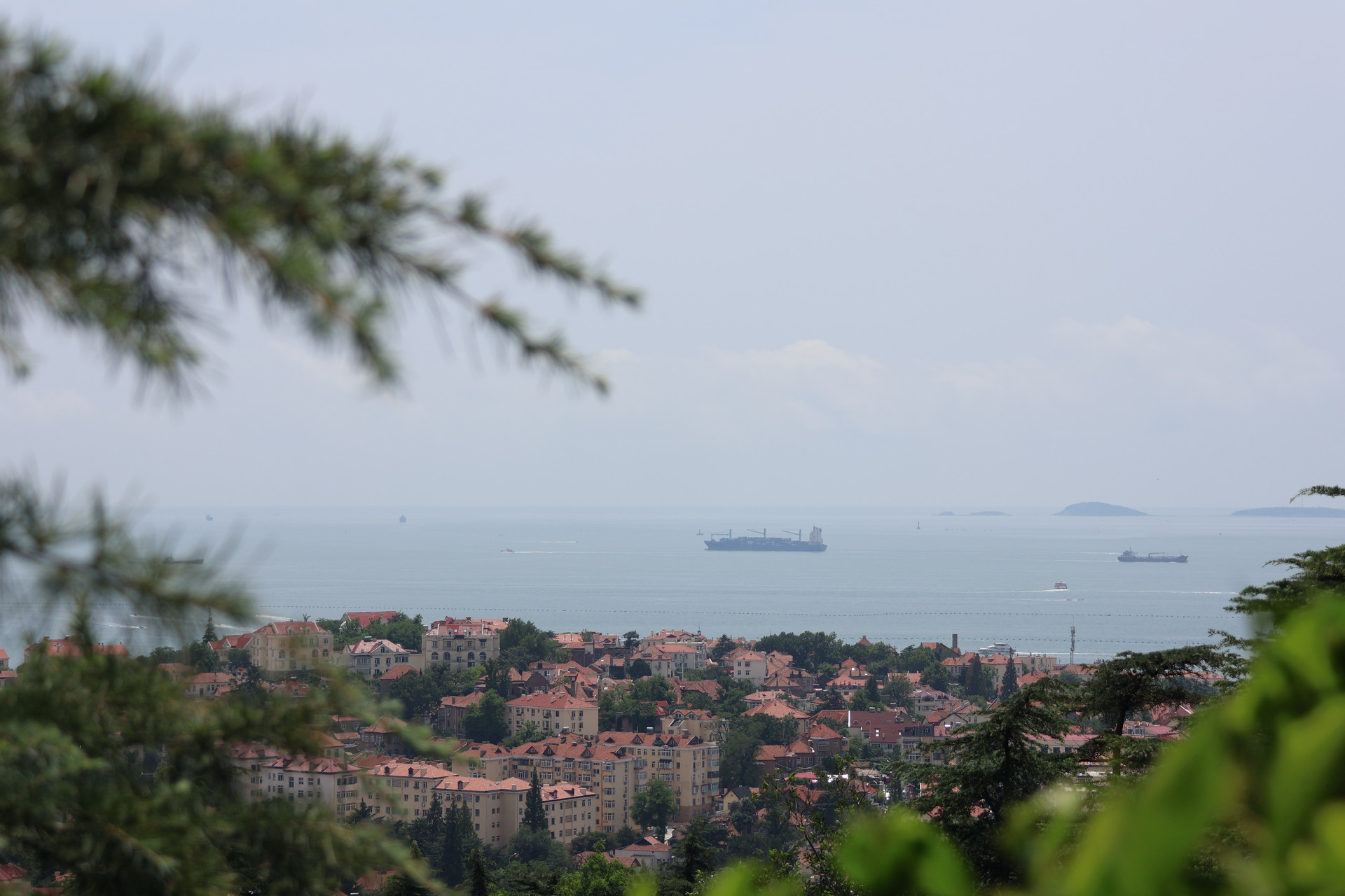 筑牢企业“护城河” 青岛交通“她力量”温柔绽放