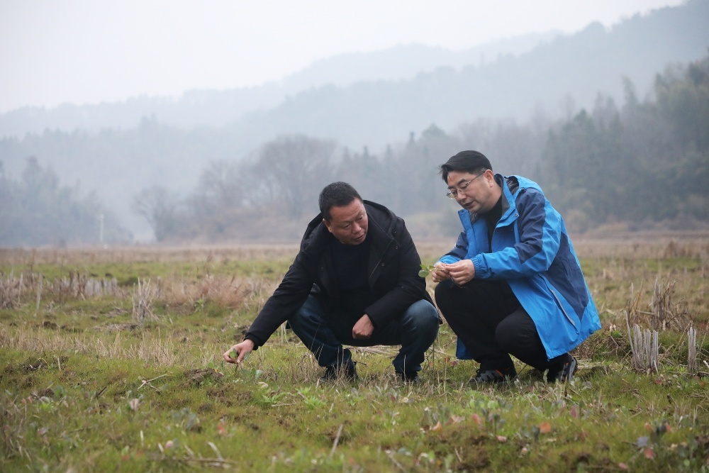 江西电信宗强：把群众“心声”写进履职答卷