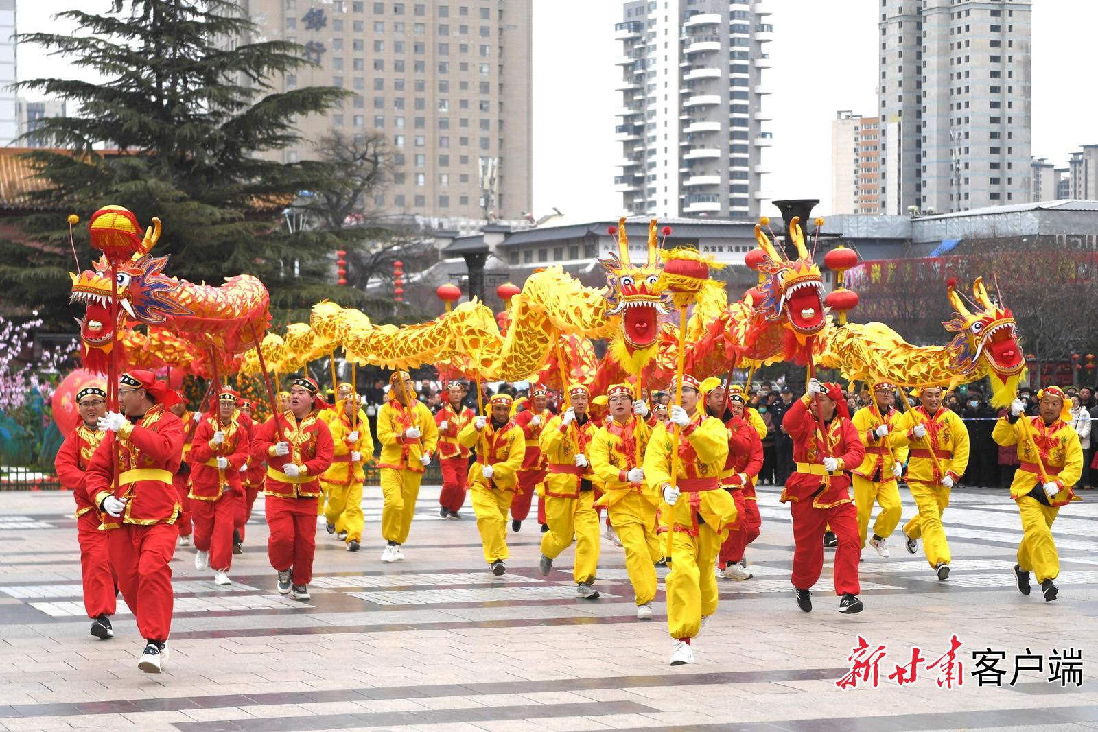 舞龙表演　本文图片均由新甘肃&middot;甘肃日报记者安东摄