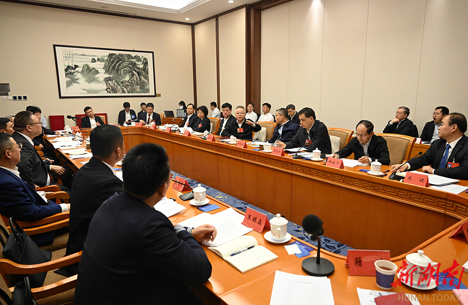 3月7日，湖南代表团在驻地举行分组会议。