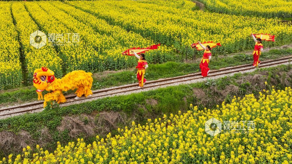 春日的江西省吉安市青原山风景区，油菜花田宛如一片金色的海洋，微风拂过，泛起层层金色波浪，花香四溢，沁人心脾。