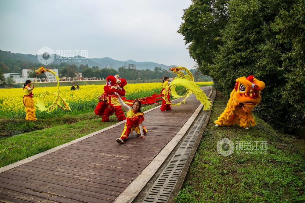 春日的江西省吉安市青原山风景区，油菜花田宛如一片金色的海洋，微风拂过，泛起层层金色波浪，花香四溢，沁人心脾。