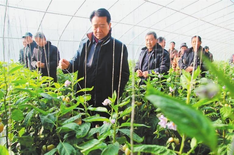 马忠明（中）查看果蔬生长情况　受访者供图