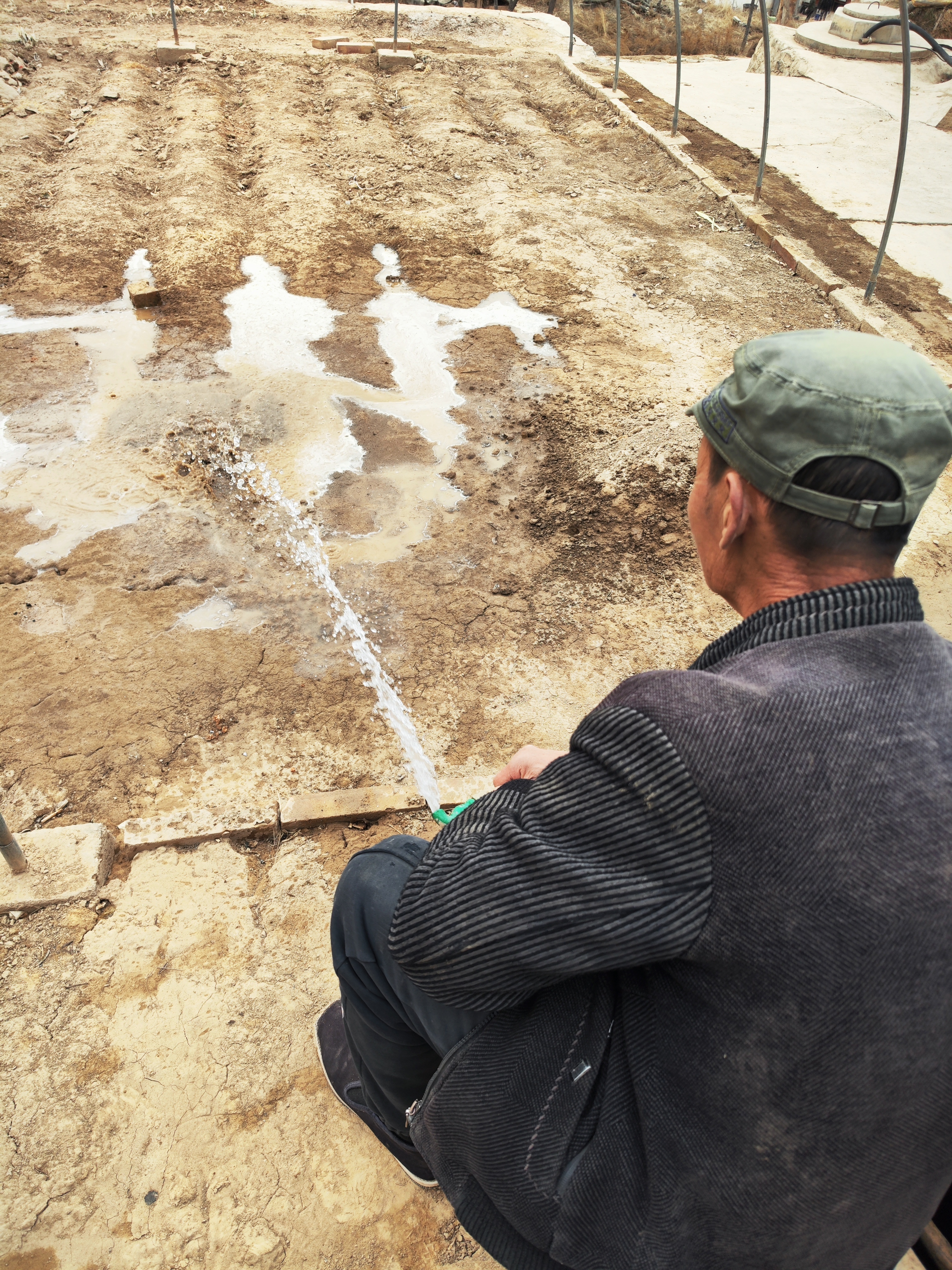 村民用自来水浇育苗地