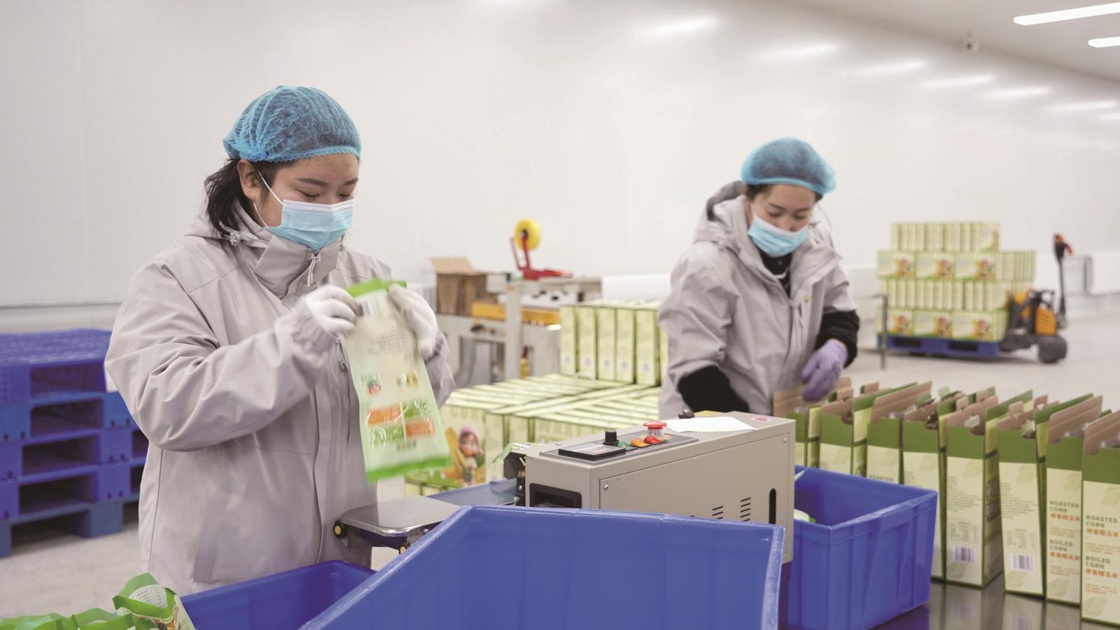 ���ڹ���ũ���ظ���ҵȫ�渴���������ڼ���ʡʢ��ũҵ�Ƽ��������޹�˾���������ӹ����ִ��������ȸ�����������ת��