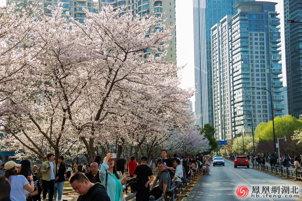 西北湖绿化广场 摄影：杨林