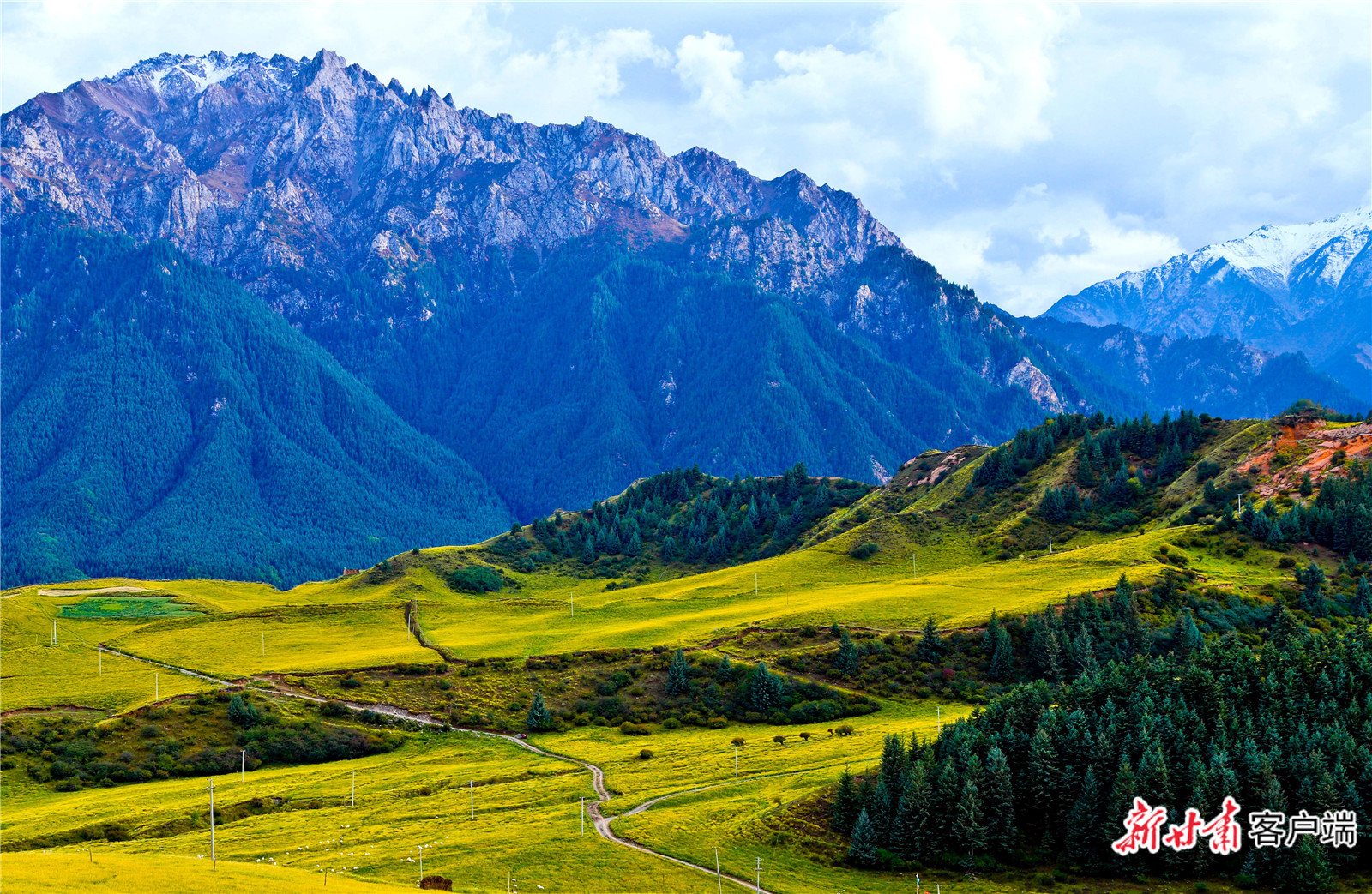祁连山区西水林区　本文图片均由甘肃省林业和草原局提供