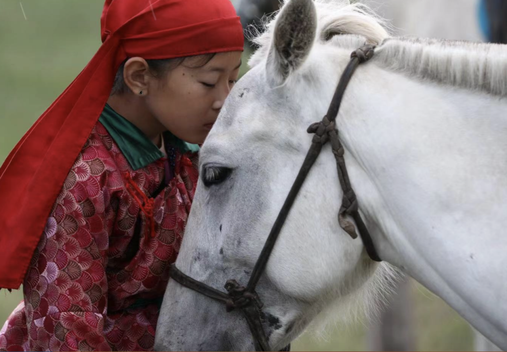 密不可分的珠拉和兔来