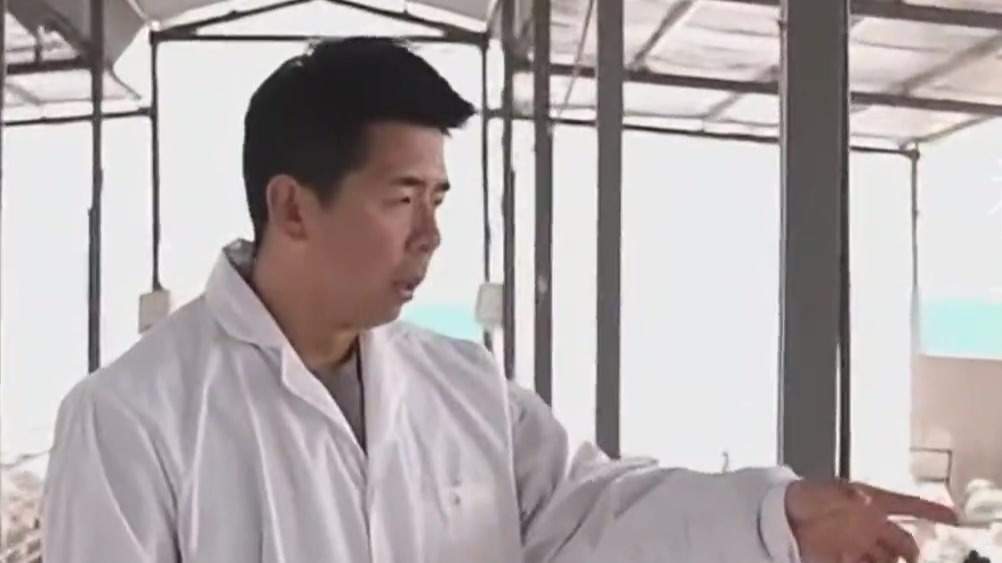 张忠山：大山里的代表　把牛羊产业做成共富路