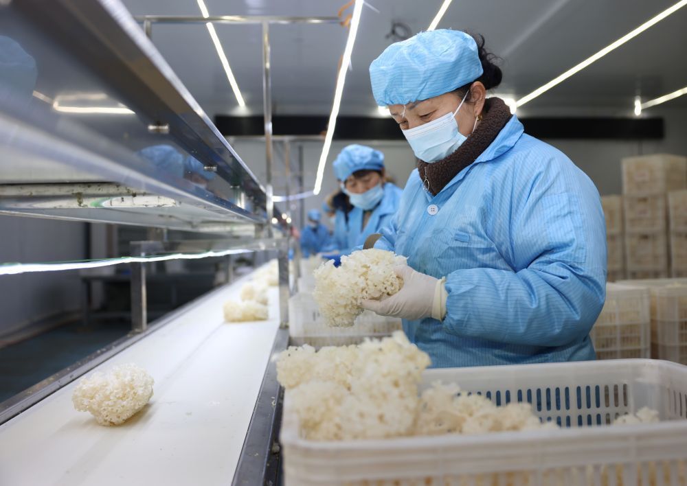 ��2��27�գ��ӱ�ʡ�º���������ֲרҵ�����繤���ڼӹ�����ּ��������