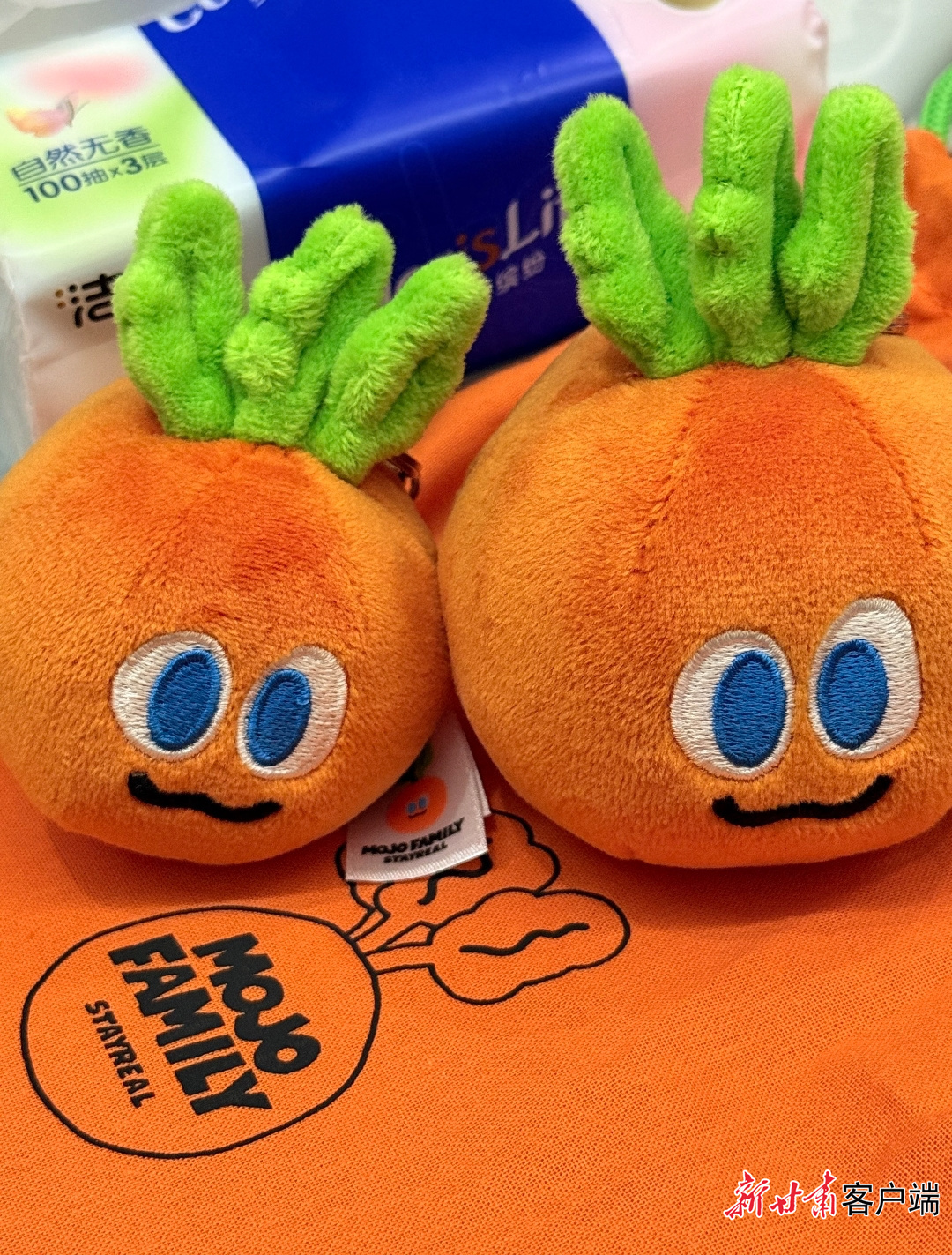 网友在社交平台晒出的五月天周边玩偶（资料图）