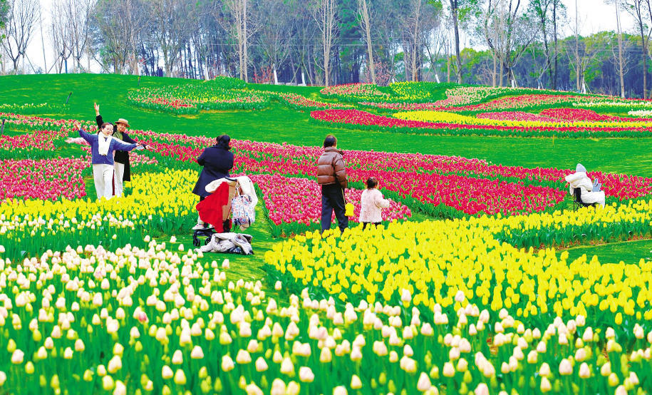 南昌：春意盎然（图）