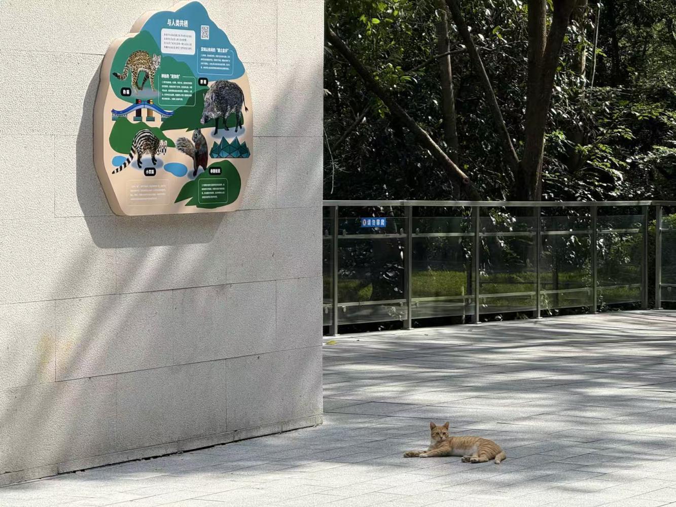 图：科普展示牌