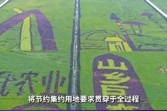 湖南坚决守住土地保护的红线与可持续发展的底线 | 湖南发布