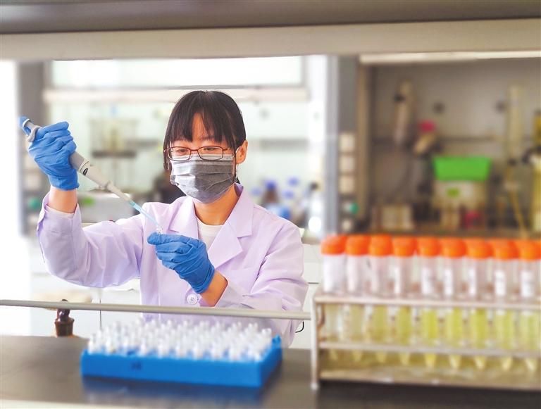 马铃薯贮藏品质测定前处理　田甲春