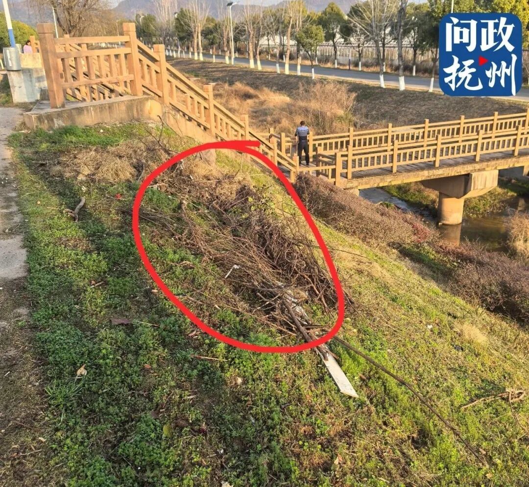 ▲图片由网友提供