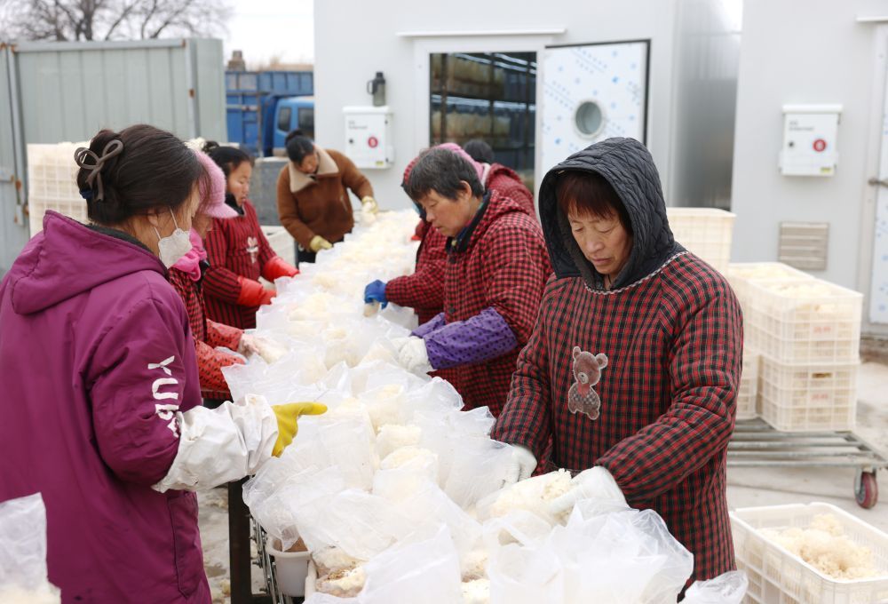 ��2��27�գ��ӱ�ʡ�º���������ֲרҵ�����繤���ڷּ��װ�������