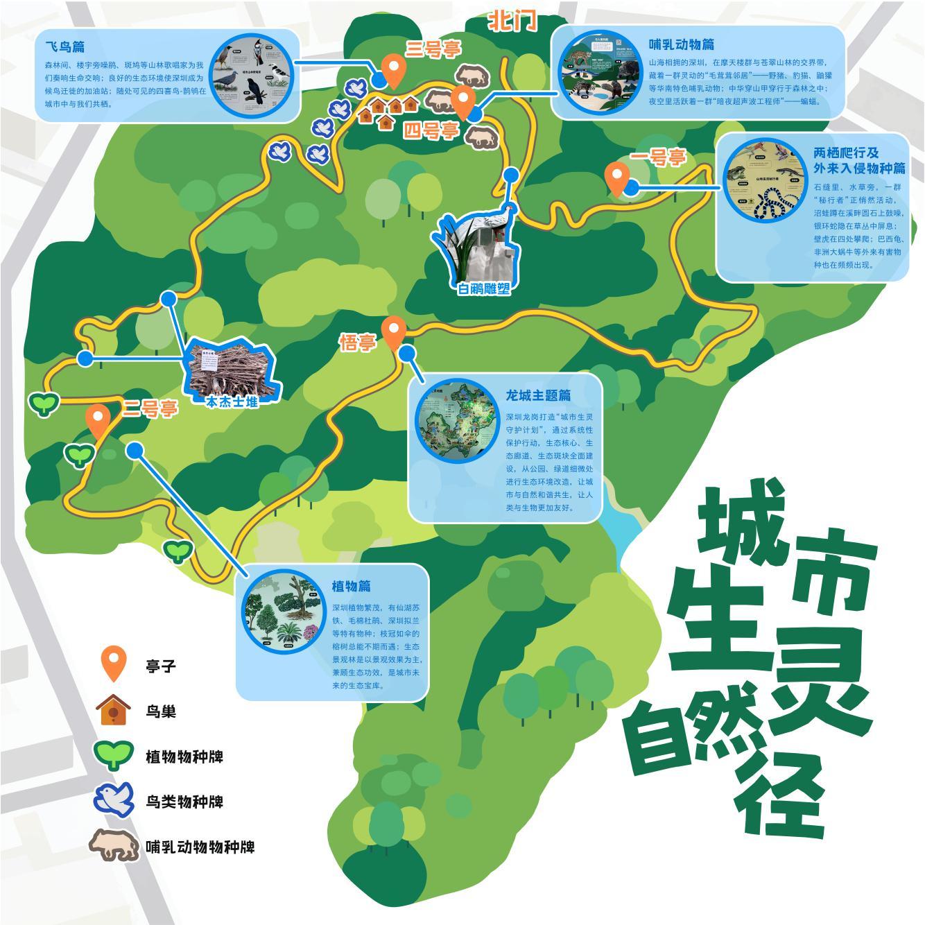 图：龙城公园“城市生灵自然径”