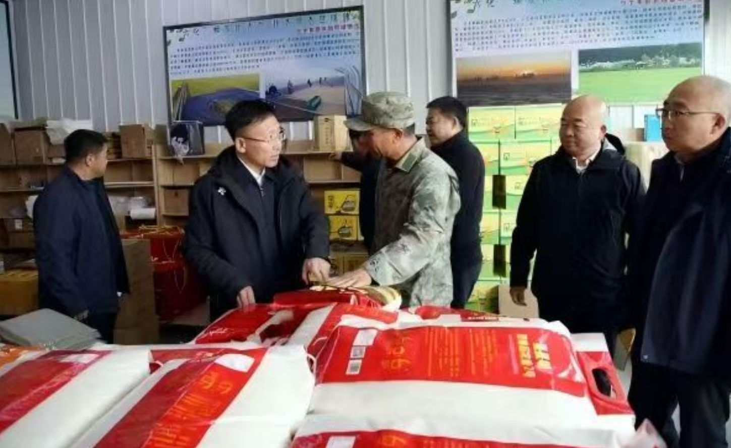 （全国两会）让玉米稳下来、让人参走出去  全国政协常委郭乃硕讲述黑土地上的履职故事