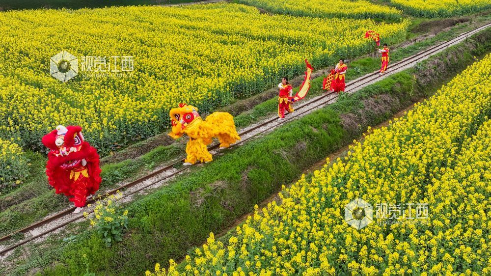 春日的江西省吉安市青原山风景区，油菜花田宛如一片金色的海洋，微风拂过，泛起层层金色波浪，花香四溢，沁人心脾。