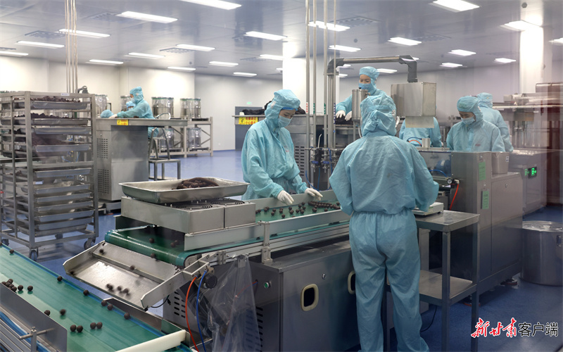 丽彩甘肃西峰制药有限公司丸药丸剂制剂车间