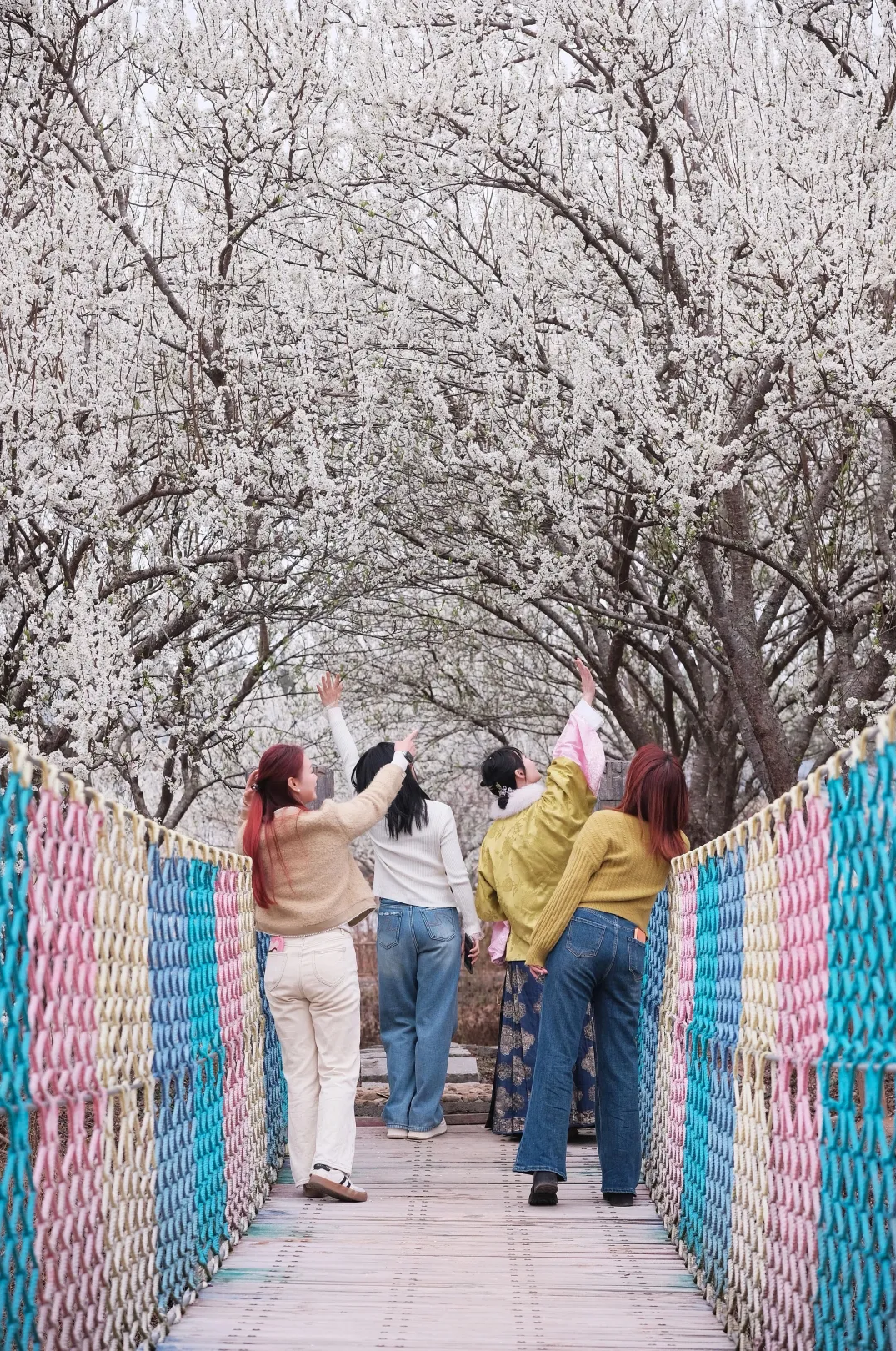 浪漫启春！这份赣州春日赏花攻略请收好