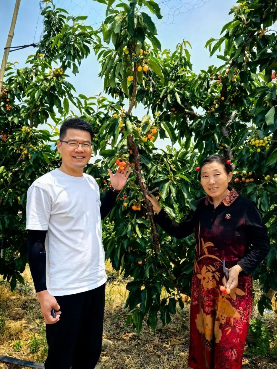 身边的她丨烟台苹果霞姐，土地上种出“不设限”的诗意人生