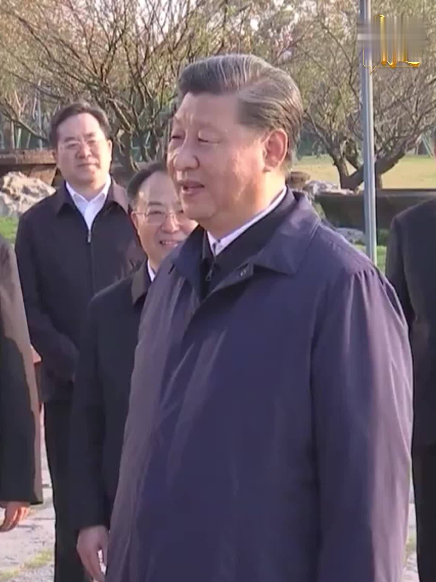 学而时习之｜众人植树树成林