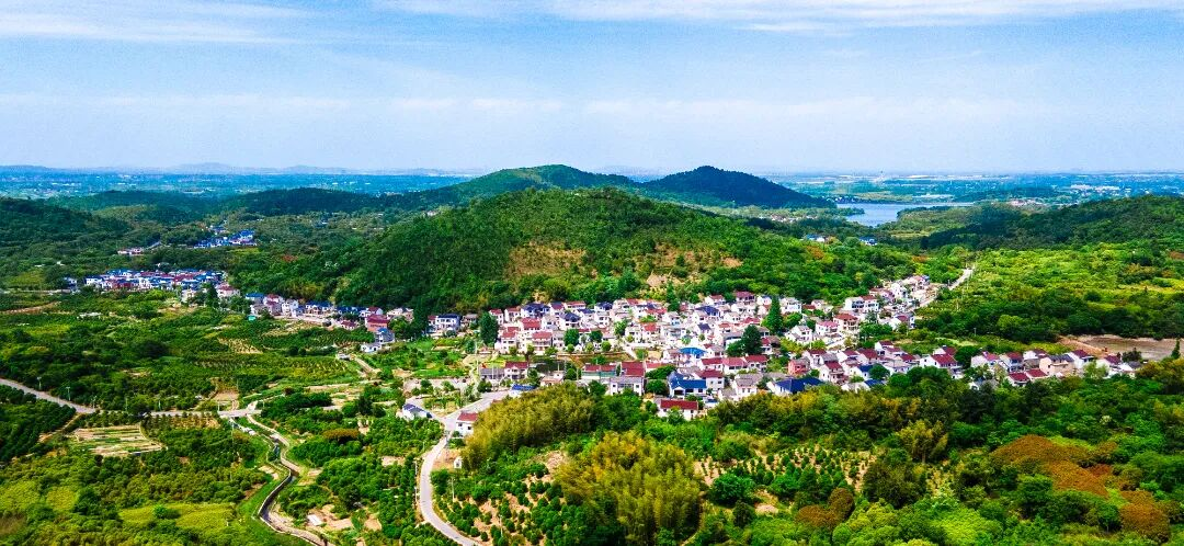 南京江宁：推窗见绿 生态富民