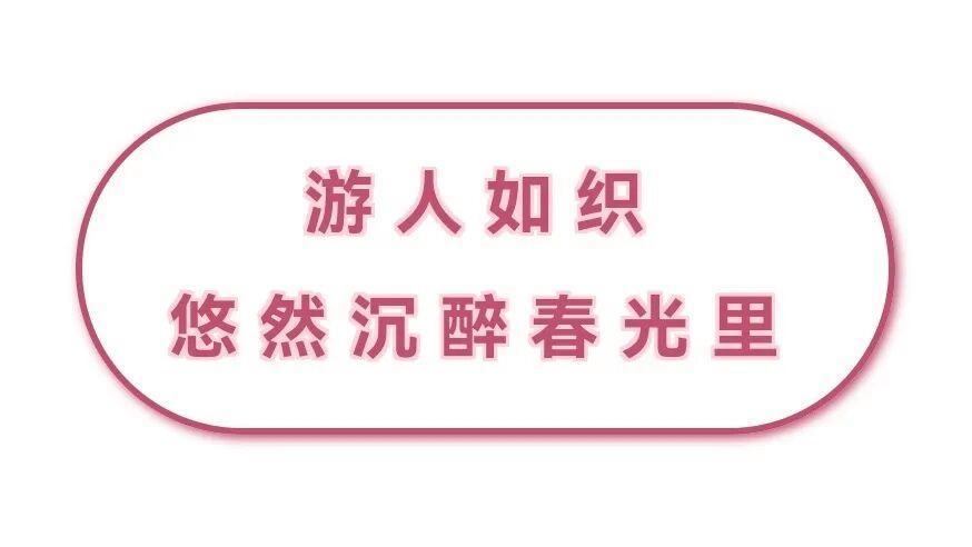 春色醉人,游人如织