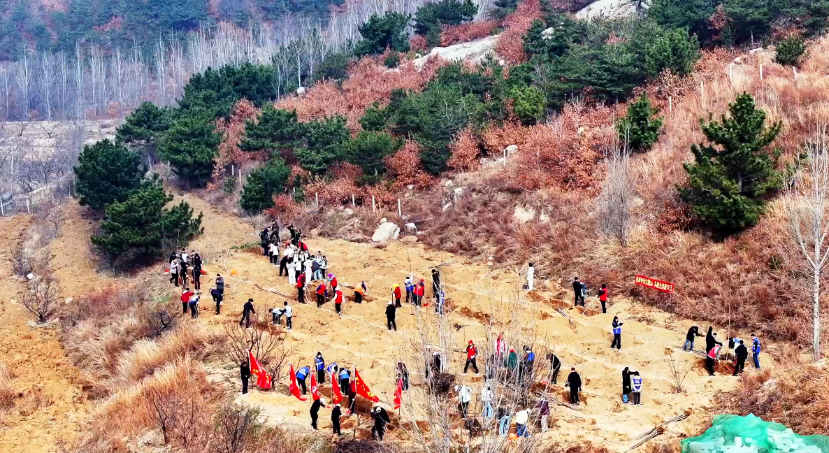 相约铁橛山 共植生态林——六汪镇开展植树节活动