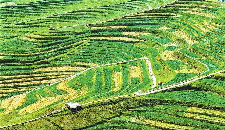 壮美高原梯田　刘忠