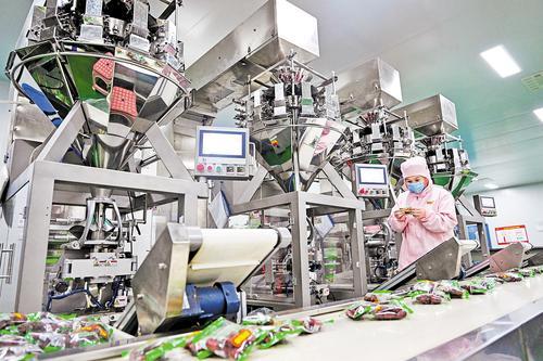 2月4日，沧县一家红枣加工企业工人加紧赶制订单。 本报记者 张 昊摄