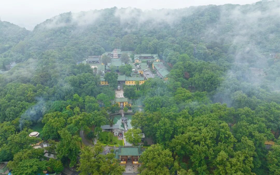 岭南第一禅林南华禅寺：六祖弘法圣地，藏三尊大师真身丨厦门云游寺院摄影展