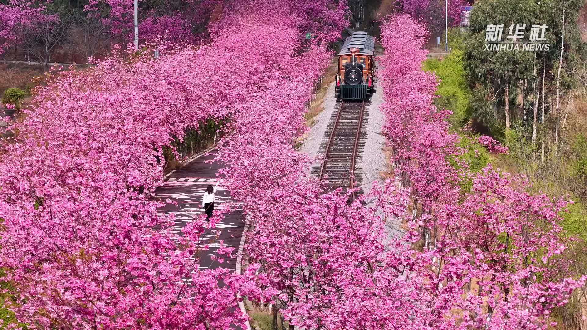 云南寻甸开启春日限定美景