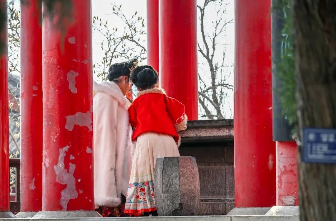 摄影:邵凯 2026年2月拍摄