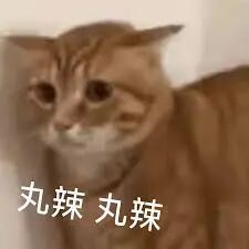 丸辣表情包- 抖音