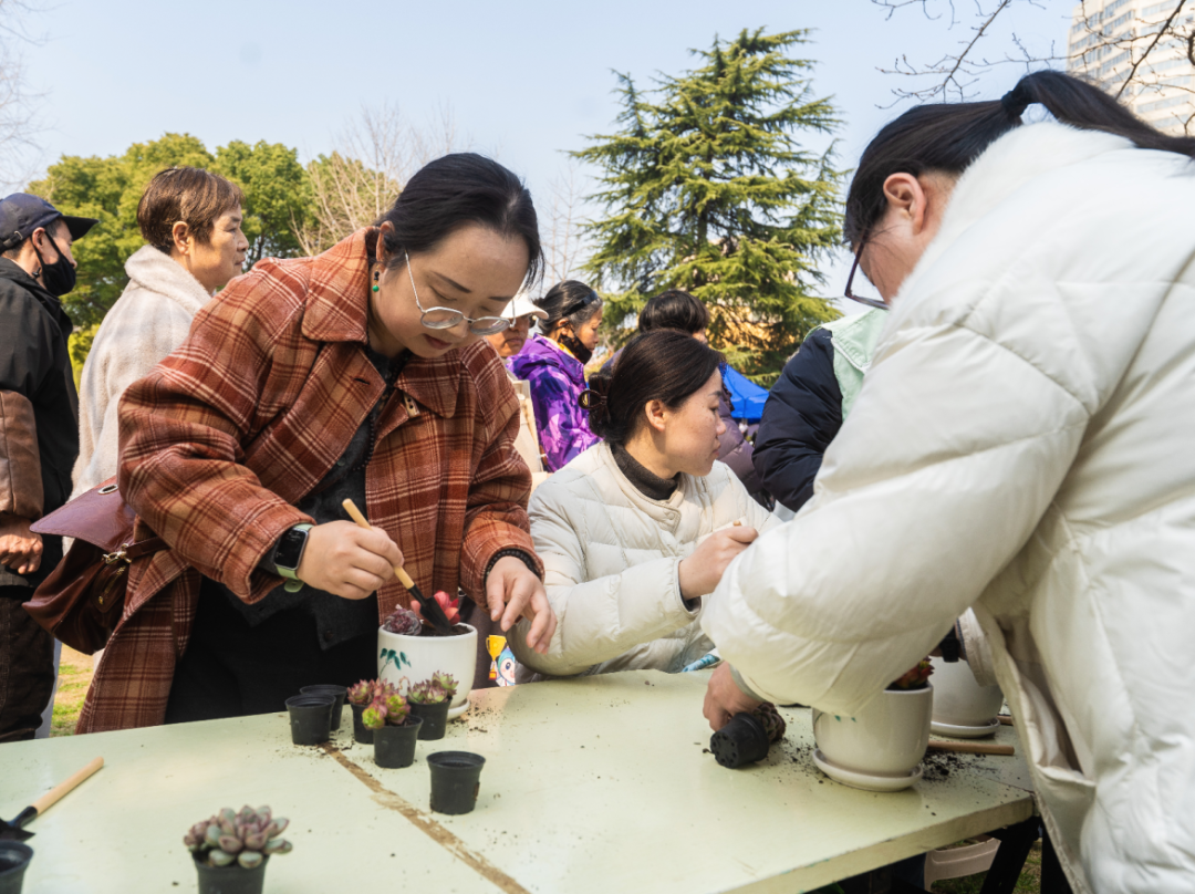 “植”得打卡！南京这场春日活动，让市民把知识和绿意一起带回家