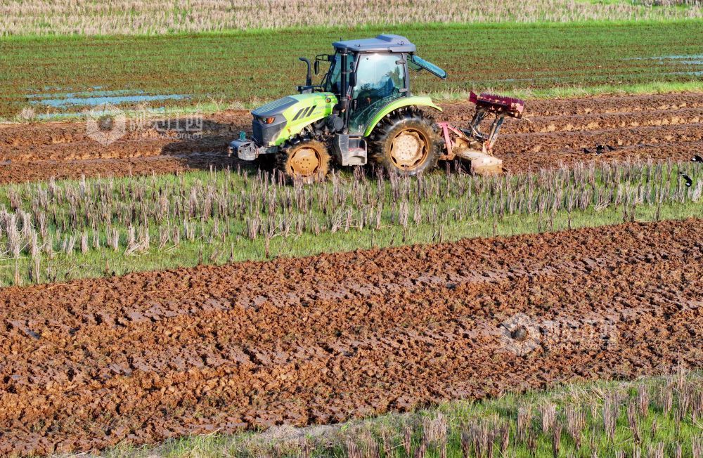 2026年3月10日，江西省吉安市泰和县万合镇高樟村，农民驾驶拖拉机正在翻耕整地。