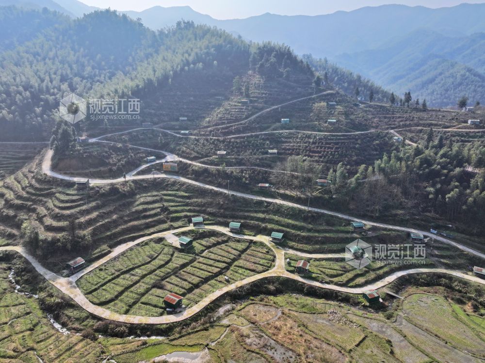 江西芦溪：发展蛋鸡养殖 助力乡村振兴（图）