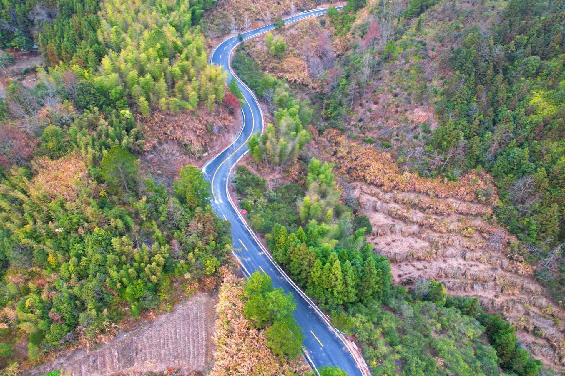 新修好的农村公路蜿蜒穿行于青山之间。摄影｜通讯员姚小林