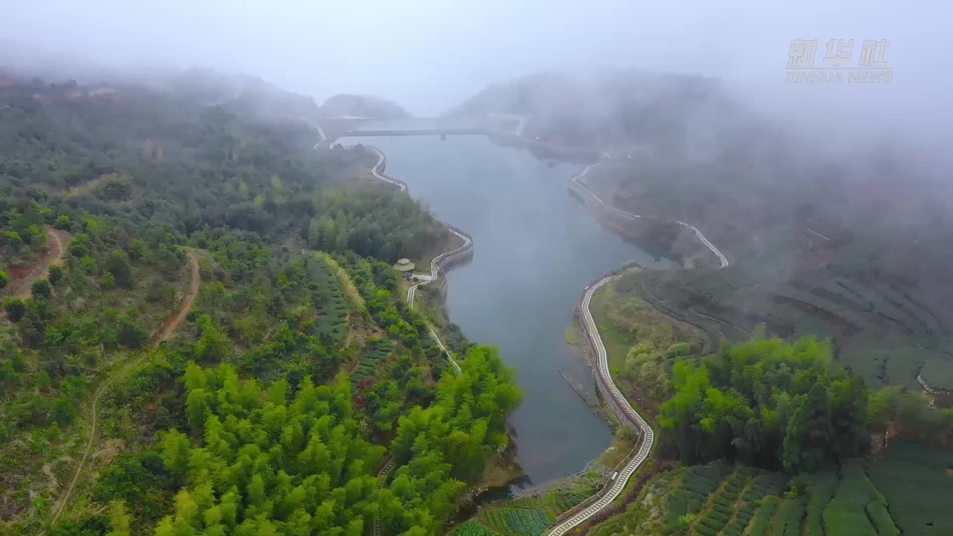 瞰中国｜福建厦门：春意银城 春水悠悠