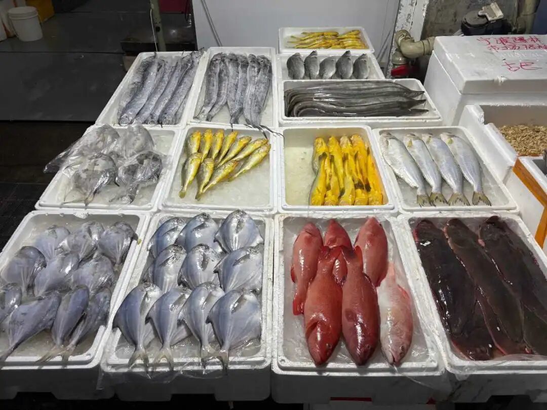 热门海鲜降价！宁波人爱吃的这口“鲜”也上市了